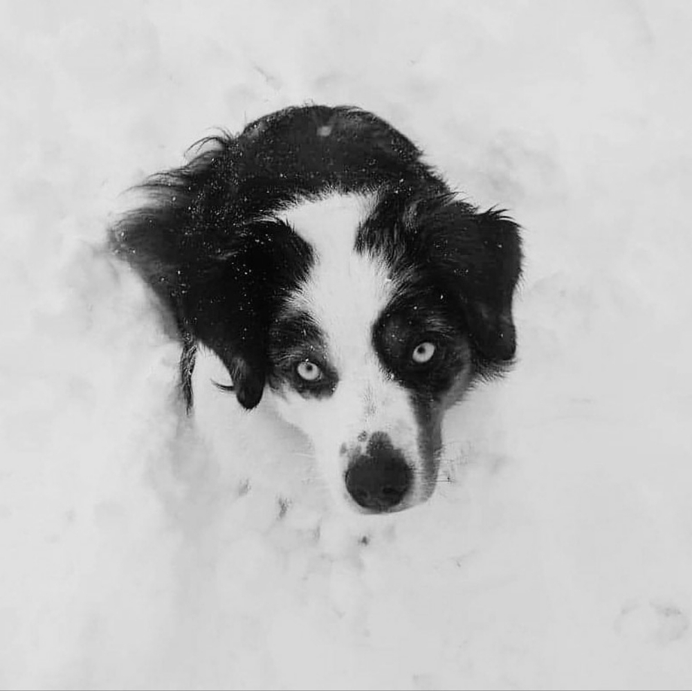 Meet your Posher, Ana